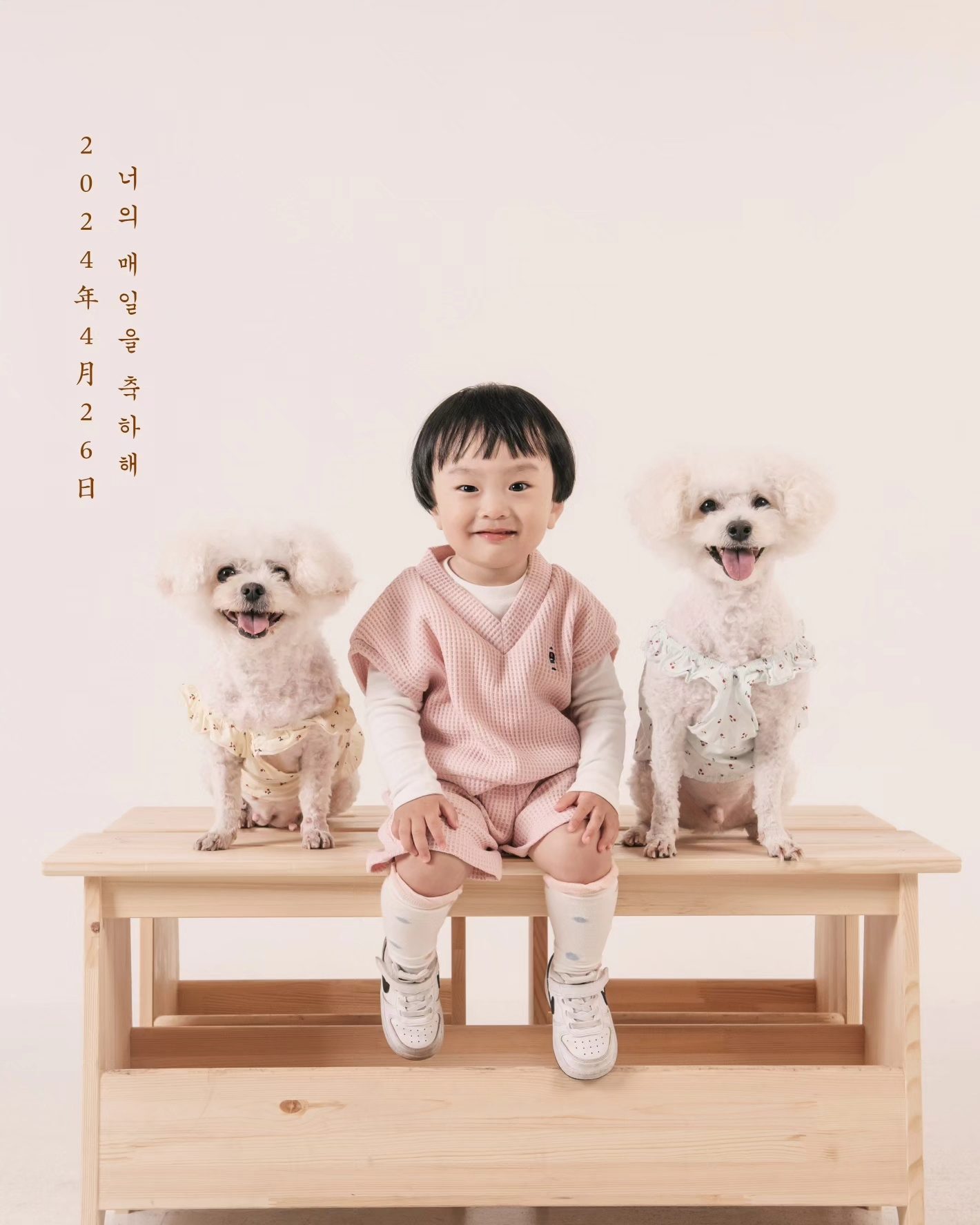 제이드엘 사진관 대표사진