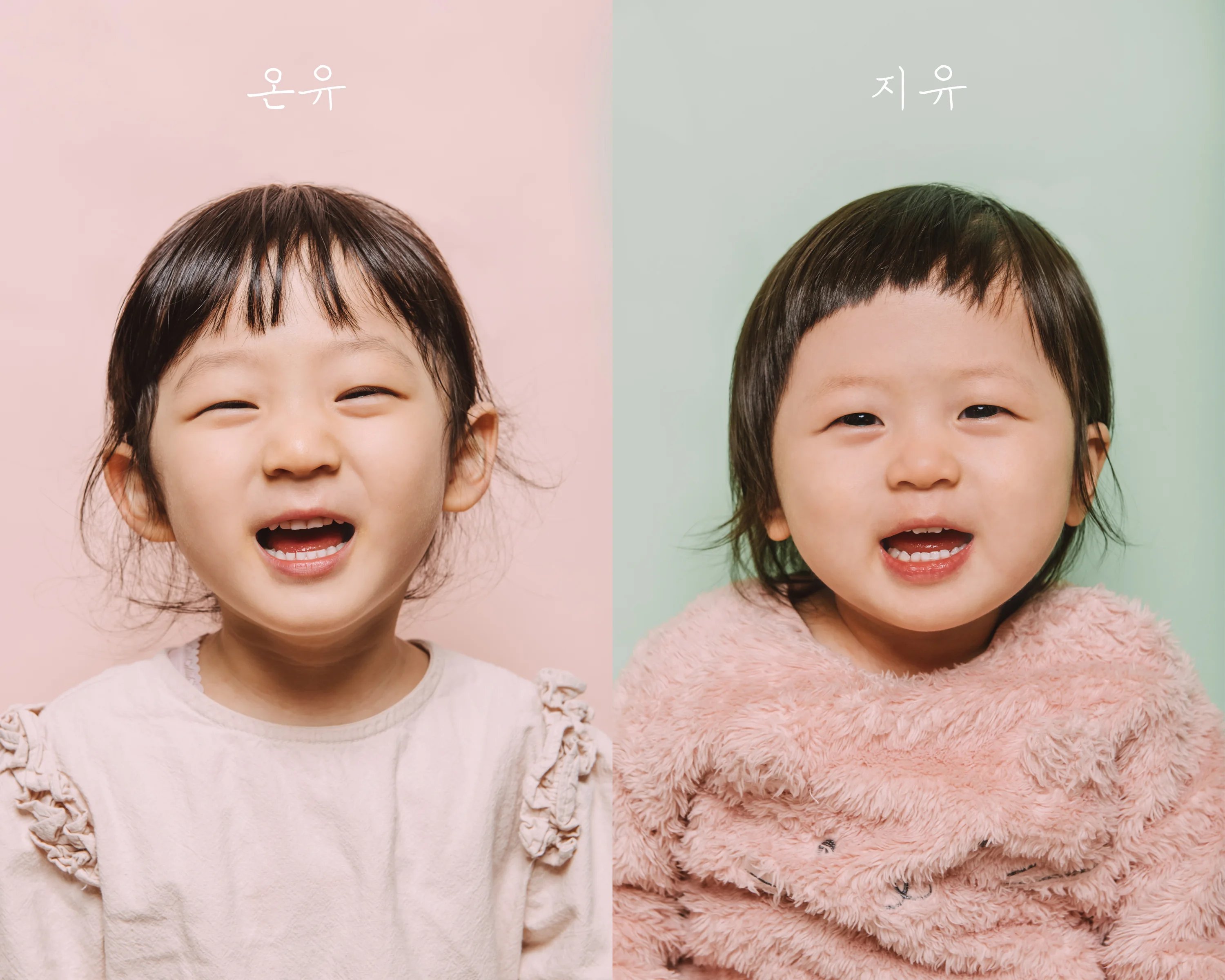 종려나무사진관 대표사진