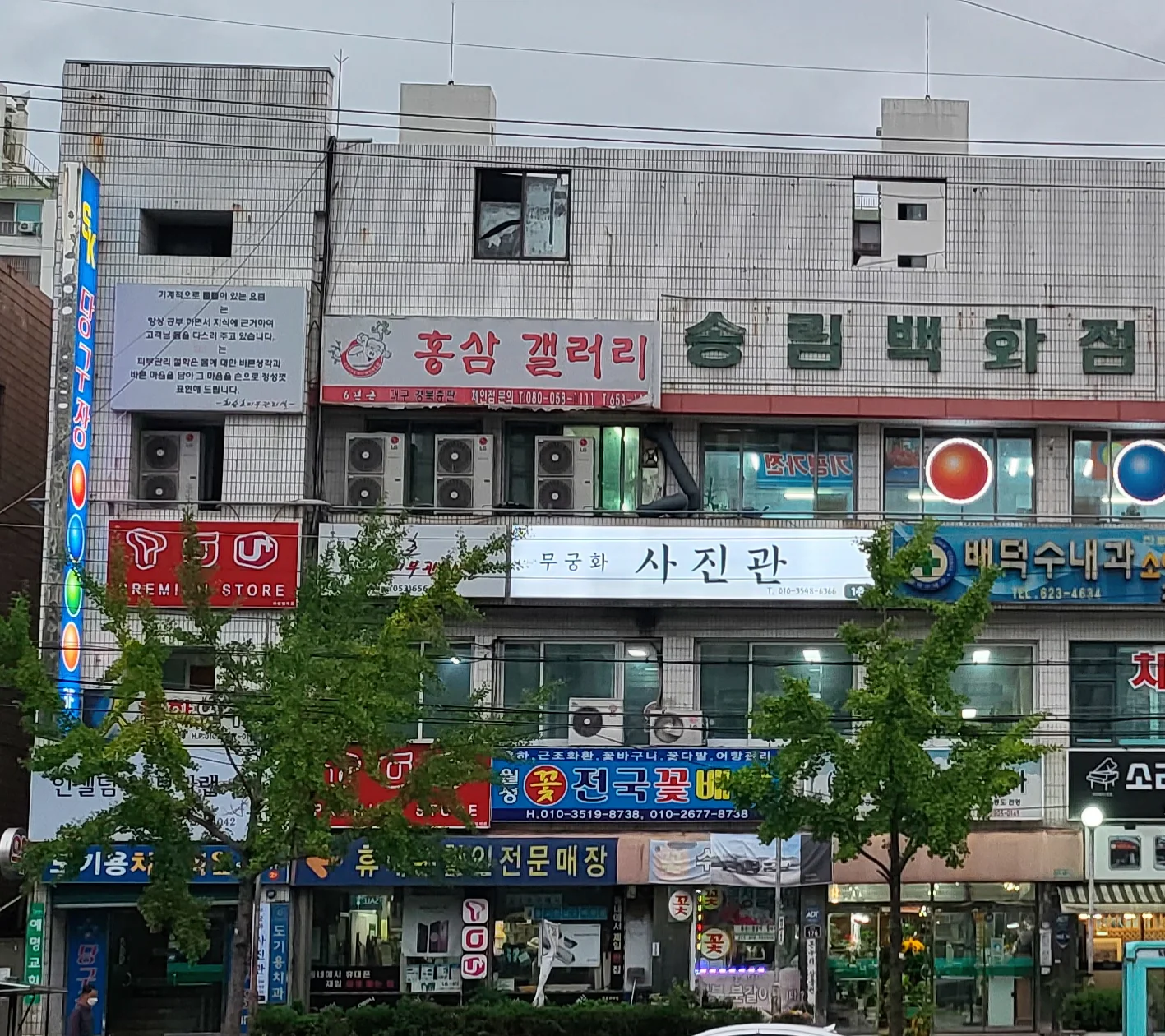 무궁화 사진관 대표사진