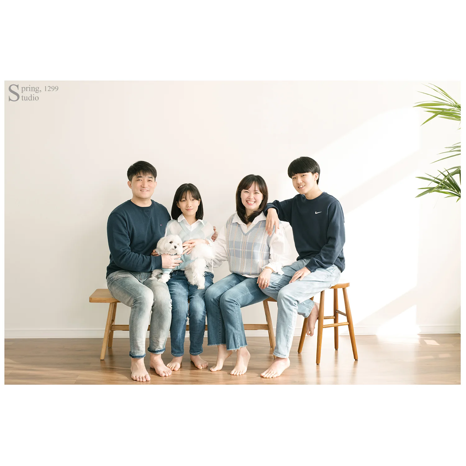 봄,1299스튜디오 대표 촬영 이미지