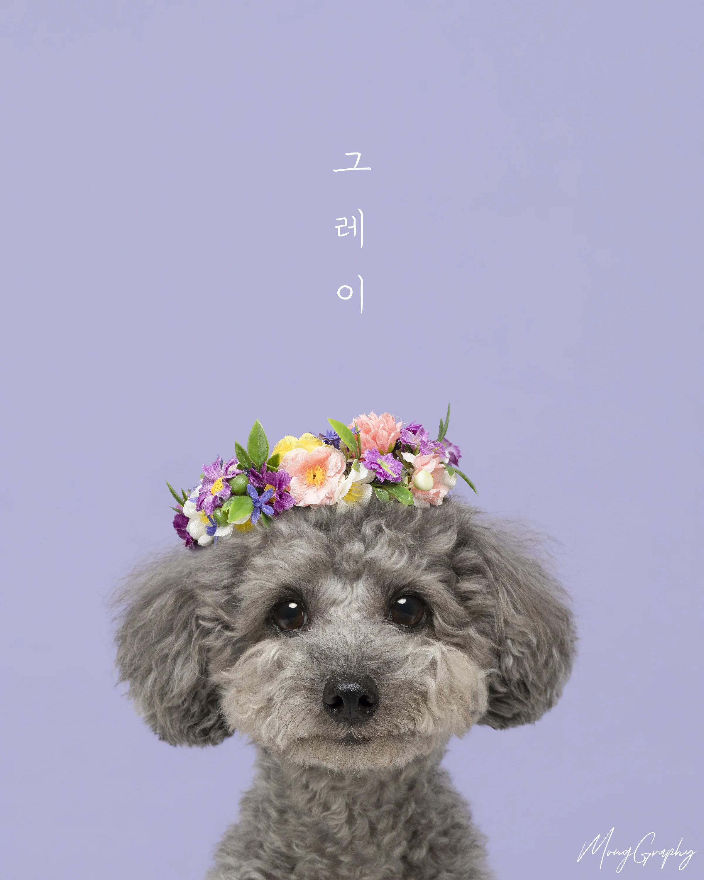 몽그라피 대표 촬영 이미지